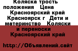 Коляска-трость 4 положения › Цена ­ 1 000 - Красноярский край, Красноярск г. Дети и материнство » Коляски и переноски   . Красноярский край